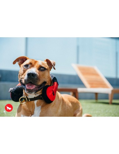 PLAY Globetrotter   - Koptelefoon