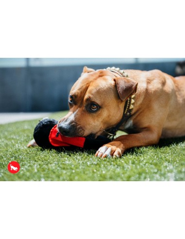 PLAY Globetrotter   - Koptelefoon