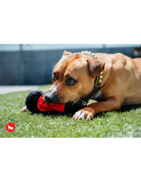 PLAY Globetrotter   - Koptelefoon