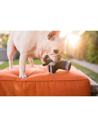 PLAY Globetrotter   - Camera