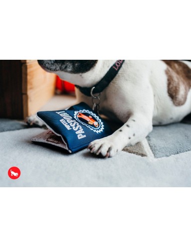 PLAY Globetrotter   - Paspoort