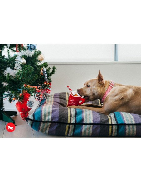 PLAY Holiday Classic    - Hot Chocolate