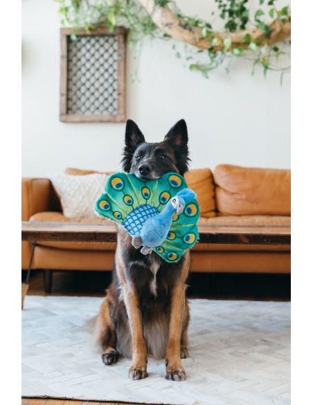 PLAY Fetching Flock   - Pauw