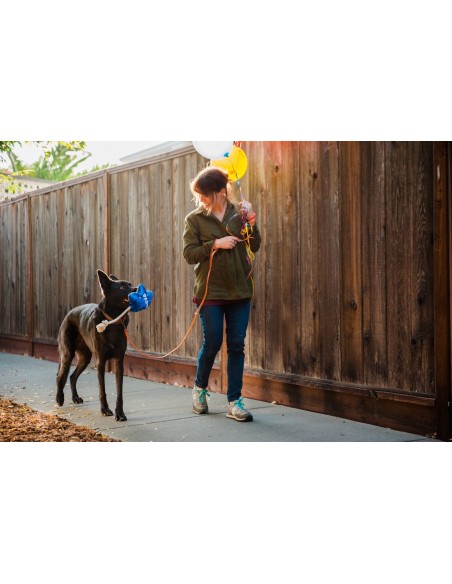 PLAY Party Time   - Ballon, Size - Standaard