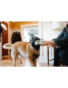 PLAY Party Time - Bone-appetit Cake 2