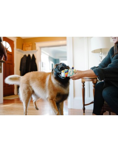 PLAY Party Time   - Taart, Size - Standaard