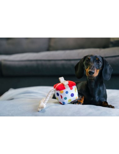 PLAY Party Time   - Present, Size - Mini