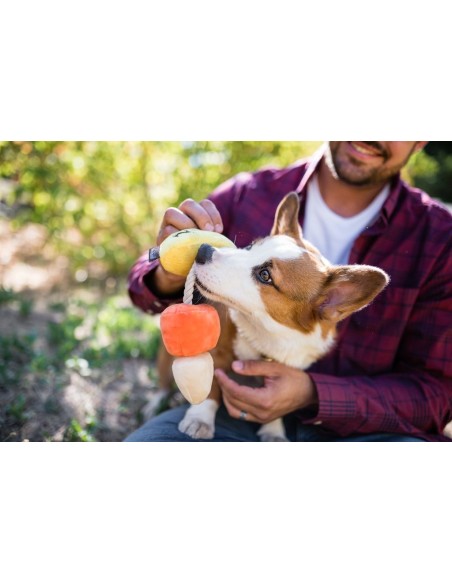 PLAY Howling Haunts  - Canine Corn