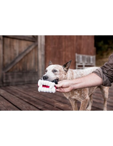 PLAY Howling Haunts  - Barky's Bite