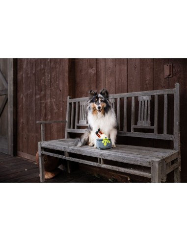 PLAY Howling Haunts  - Pup's Potion