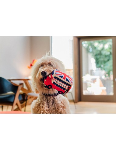 PLAY Canine Commute - Fetching Ferry  - Lickety Split Bus