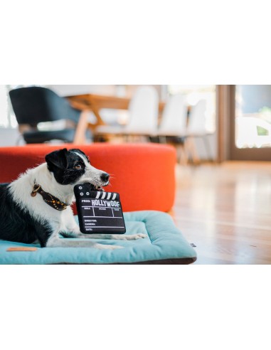 PLAY Hollywoof Cinema Collection   - Doggy Director Board