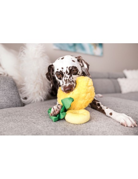 PLAY Tropical Paradise  - Paws Up Pineapple