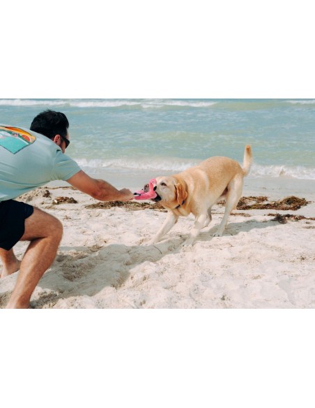 PLAY Tropical Paradise  - Flamingo Float