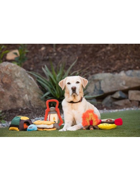 PLAY Camp Corbin   - K9 Kayat