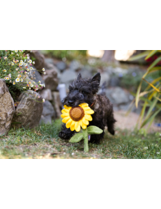 PLAY Blooming Buddies Collection - Sassy Sunflower 2