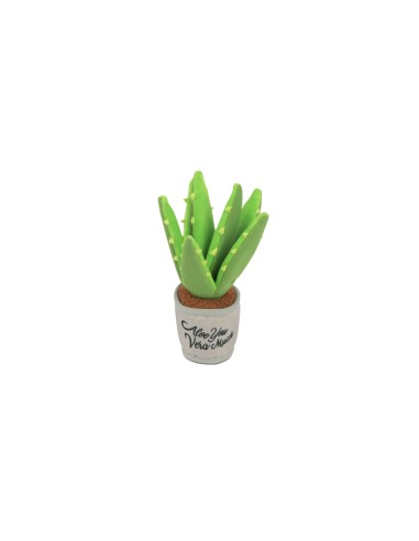 PLAY Blooming Buddies - Aloe-ve You Plant
