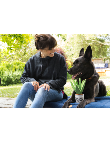 PLAY Blooming Buddies - Aloe-ve You Plant