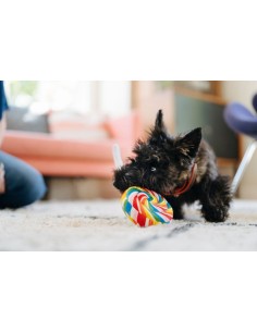 PLAY Snack Attack Collection - Lollipup Mini 2