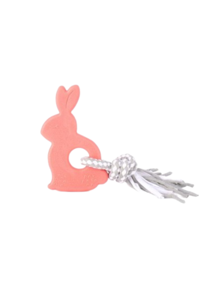 Teetherz - Bonnie the Bunny