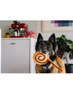 PLAY Pup Cup Café - Cinna-bone 2
