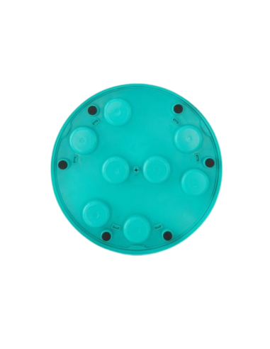 Smarty Paws - Puzzler