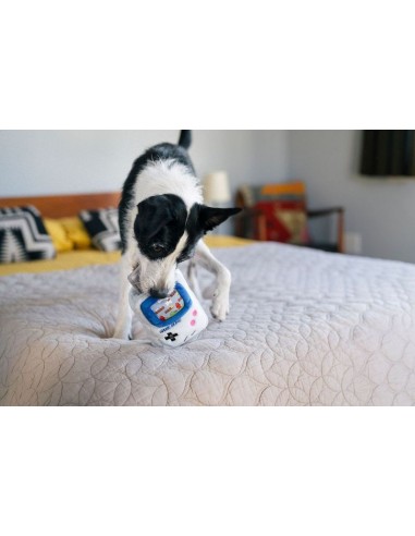 PLAY 90s Classic -   - Game Bone