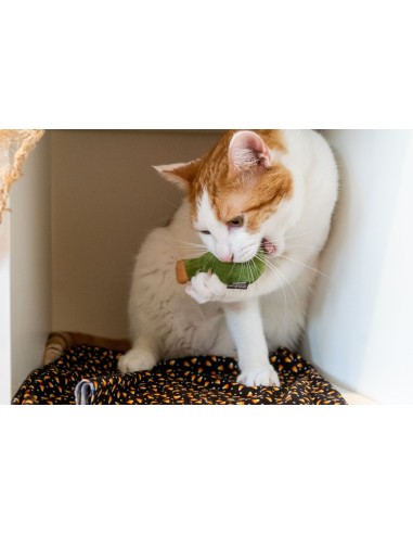 PLAY Feline Frenzy - Killer Cat Toy - Kitty-BOOM (2)  - Feline Frenzy - Deadly Duo