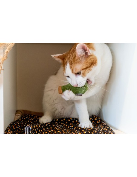 PLAY Feline Frenzy - Killer Cat Toy - Kitty-BOOM (2)  - Feline Frenzy - Deadly Duo