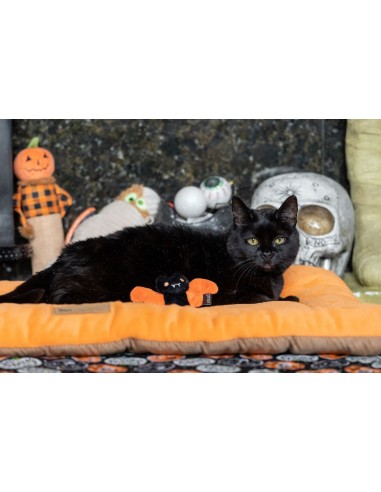 PLAY Feline Frenzy - Halloween Cat Toy - Boo Crew (2)  - Feline Frenzy - Creepy Critters