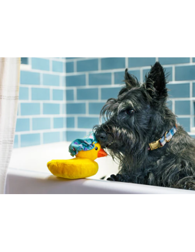 Splish Splash Collection - - Bubbles the Duck