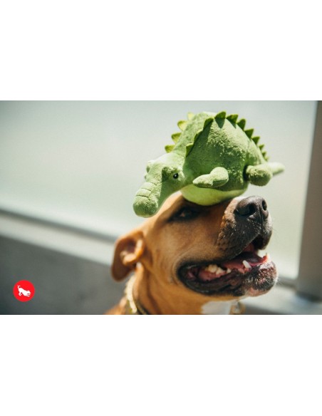 PLAY Safari - Crocodile