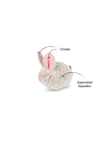 Woodland Creatures Collection   - Bunny