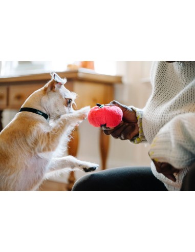 PLAY Garden Fresh   - Appel, Size - Mini