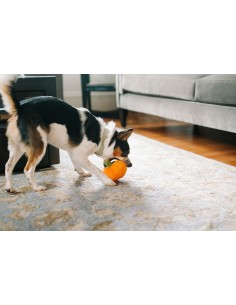 PLAY Garden Fresh - Pumpkin Mini 2