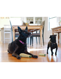 PLAY Garden Fresh - Zucchini 2