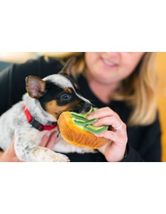 PLAY Barking Brunch Collection : P.L.A.Y. - Giftbox, Size - Mini 2