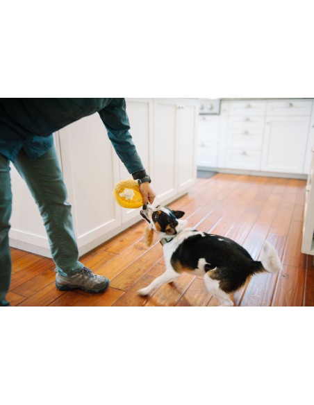 PLAY Barking Brunch Collection : P.L.A.Y. - Giftbox, Size - Mini