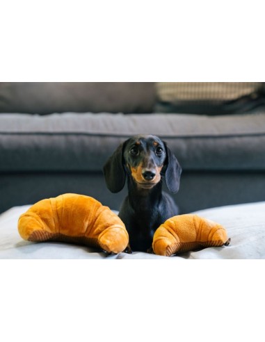 PLAY Barking Brunch Collection : P.L.A.Y. - Giftbox, Size - Mini