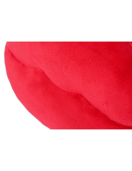 PLAY Lovebug - Smoochy Poochy