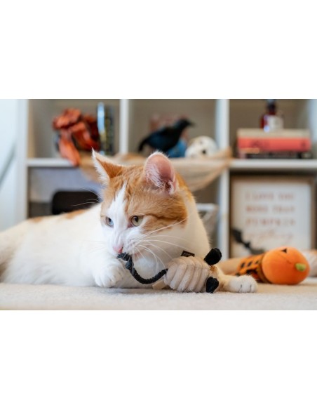 PLAY Feline Frenzy Halloween Collection : PLAY Textuur - Feline Frenzy - Menacing Mice