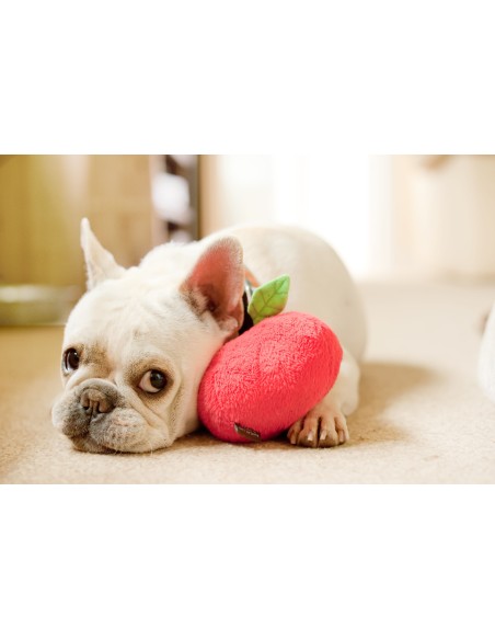 PLAY Garden Fresh Collection : P.L.A.Y. - Display, Size - Standaard