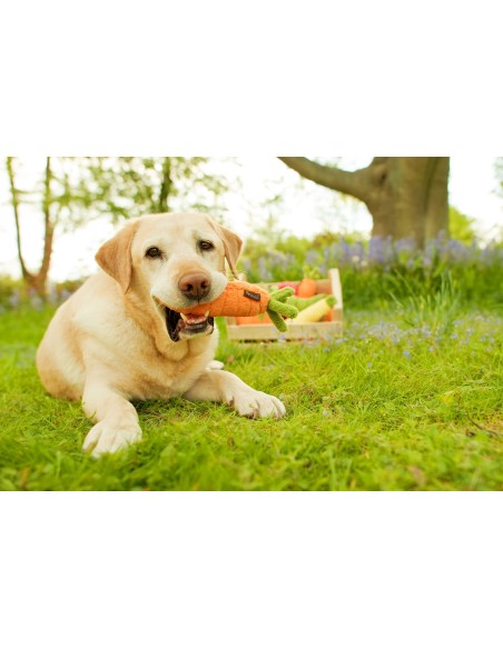 PLAY Garden Fresh Collection : P.L.A.Y. - Display, Size - Standaard