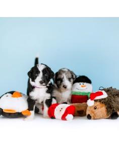 Holiday Hedgehog - XL : Size - XL 2