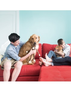 Spencer Crinkle Monkey - Brown - Large 2