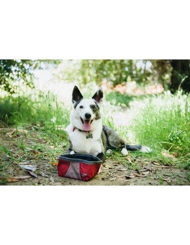 Bowl - Graphite : Color - Grijs