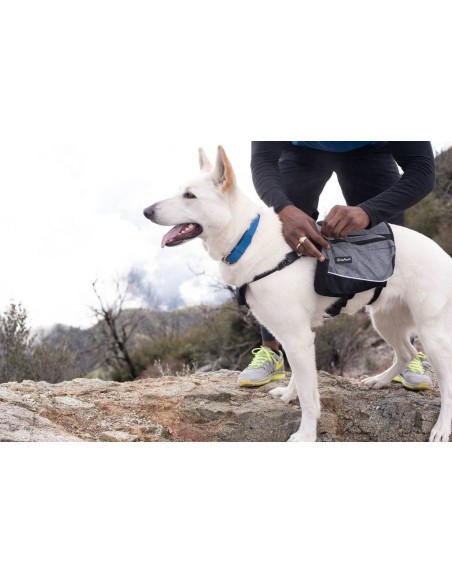 Backpack - Graphite - XL : Size - XL