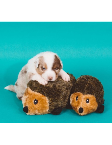 Hedgehog - XL : Size - S