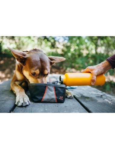 Bowl - Graphite : Color - Grijs