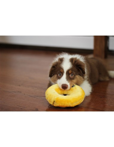 Jumbo Donutz - Peppermint : ZippyPaws Maten - Medium